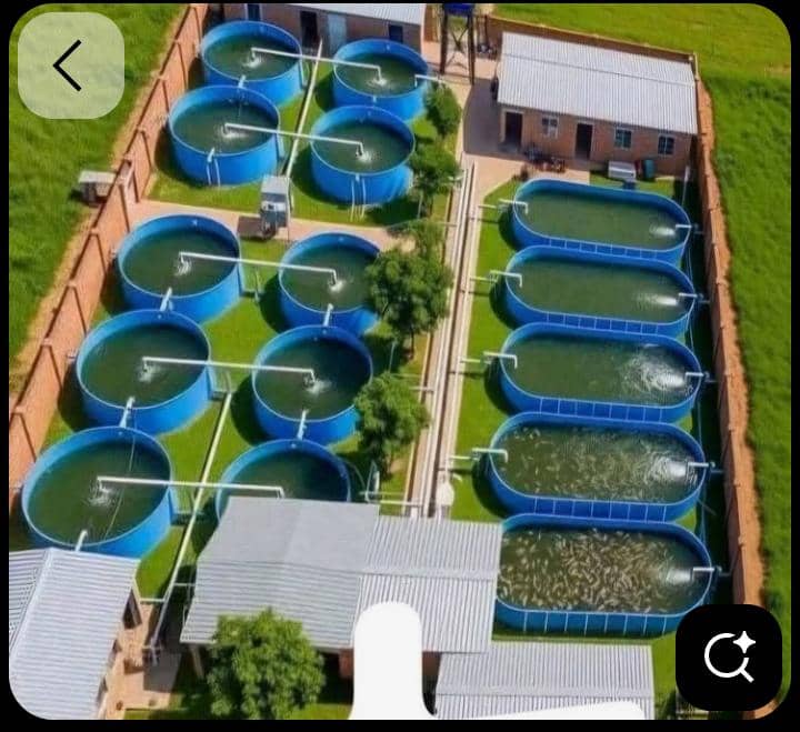 Bassins d'aquaculture